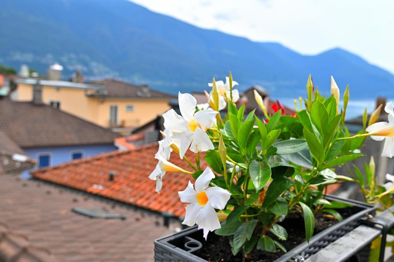 Hotel Garni Golf Ascona Exterior photo